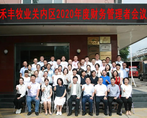 活动执行的奥秘：在动态中感受行业的脉动